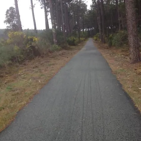 Chalet*** Confort A 5 Km De La Bias (Landes)