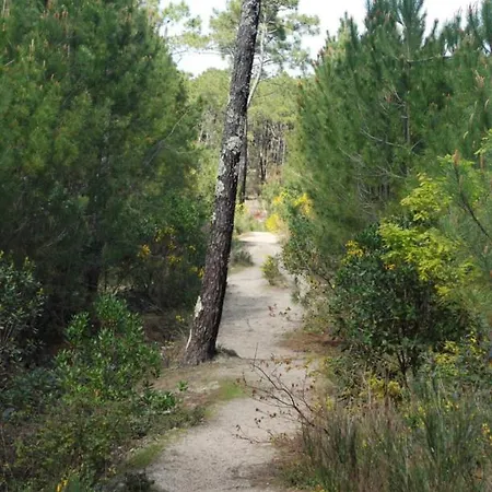 Chalet*** Confort A 5 Km De La * Bias (Landes)