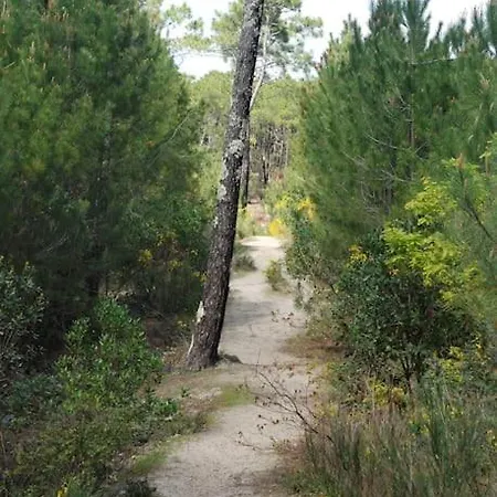Chalet*** Confort A 5 Km De La